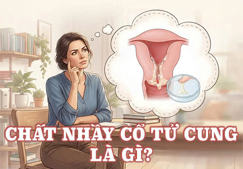 Chất nhầy cổ tử cung là gì? Những kiến thức chị em cần biết